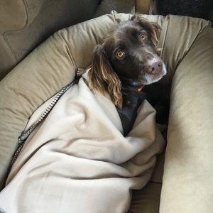 Meet your Posher, Judson